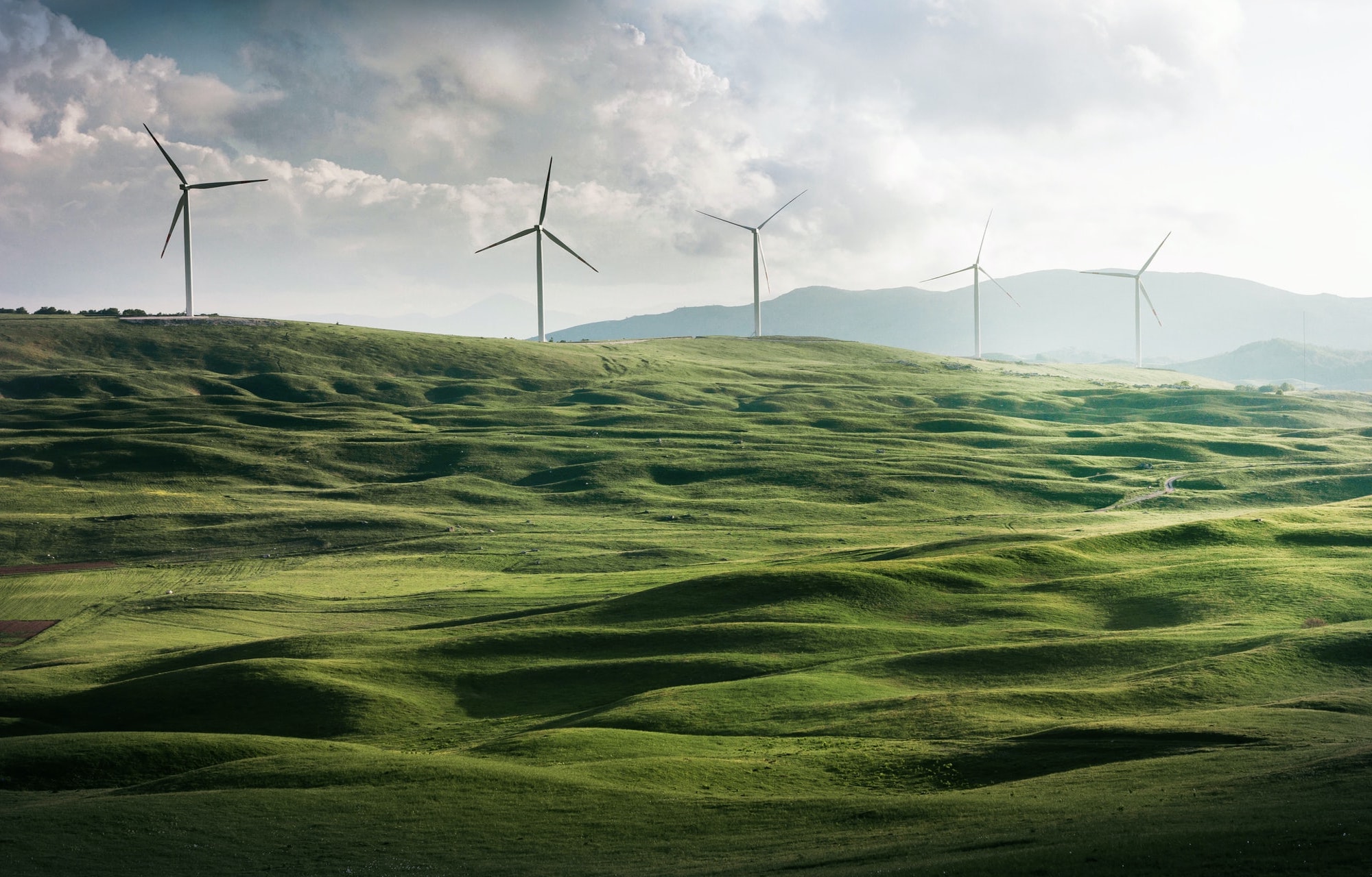 Bizav Sustainability Company Puts CO2 On Notice - Vimarsana News