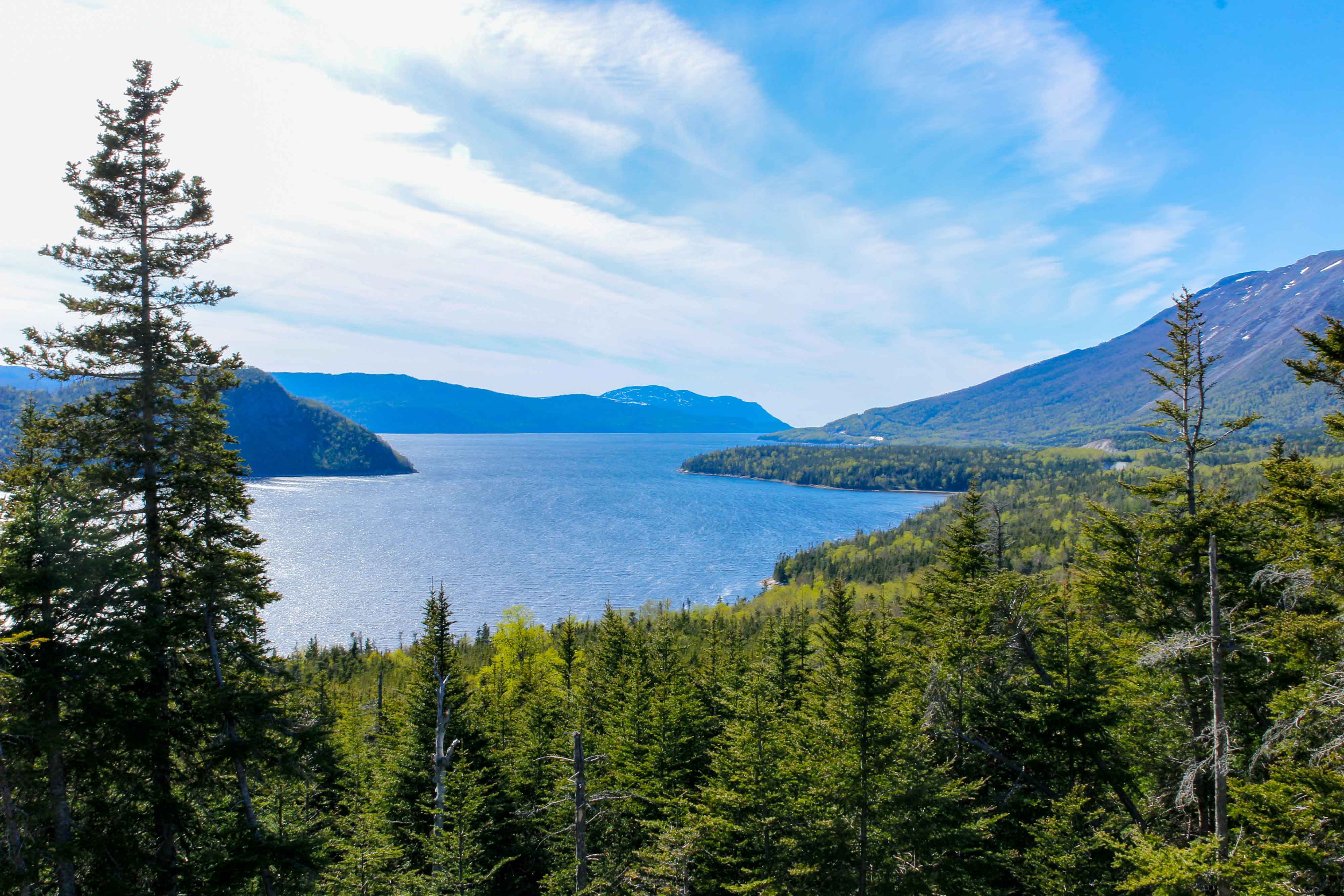 Newfoundland: A Must-see Big Island and a Magical Small One - Vimarsana News