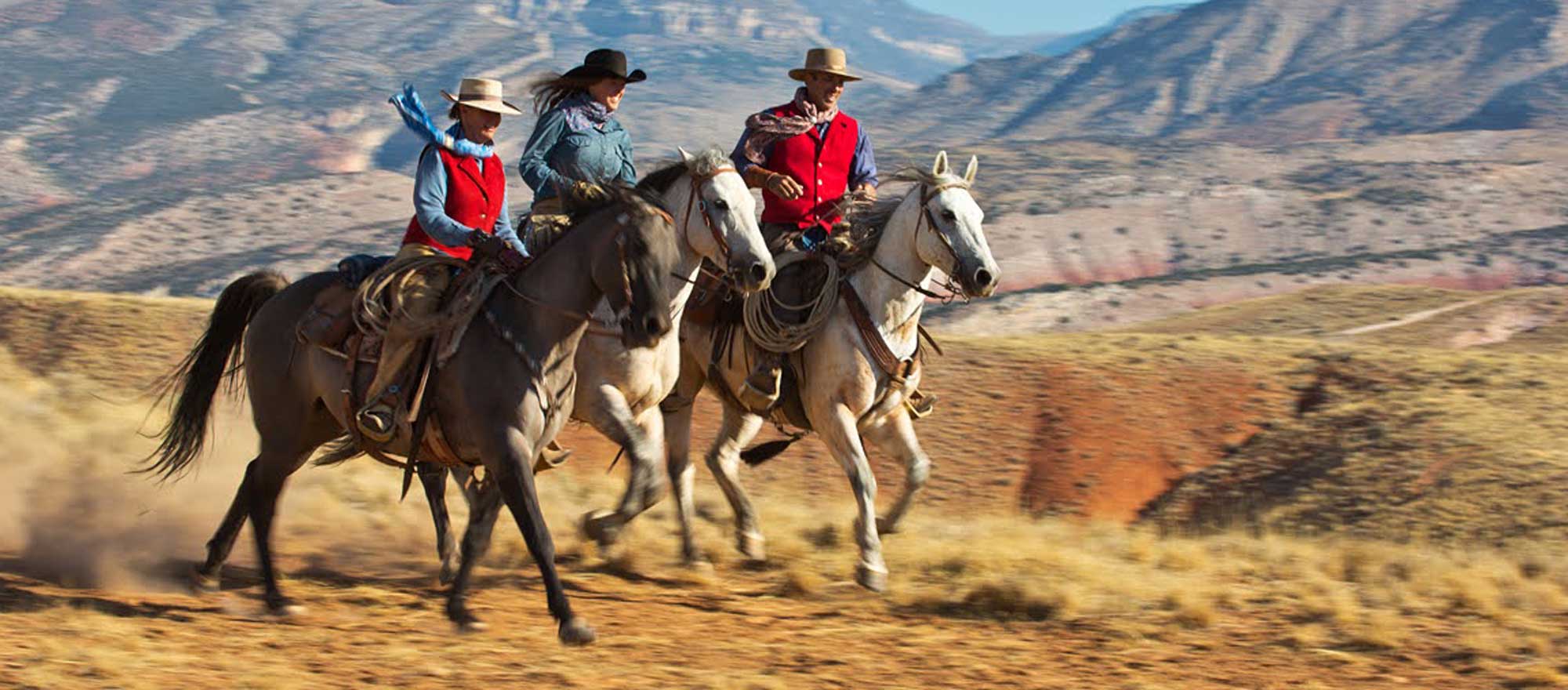 In Wyoming, a Taste of the Wild West - Vimarsana News