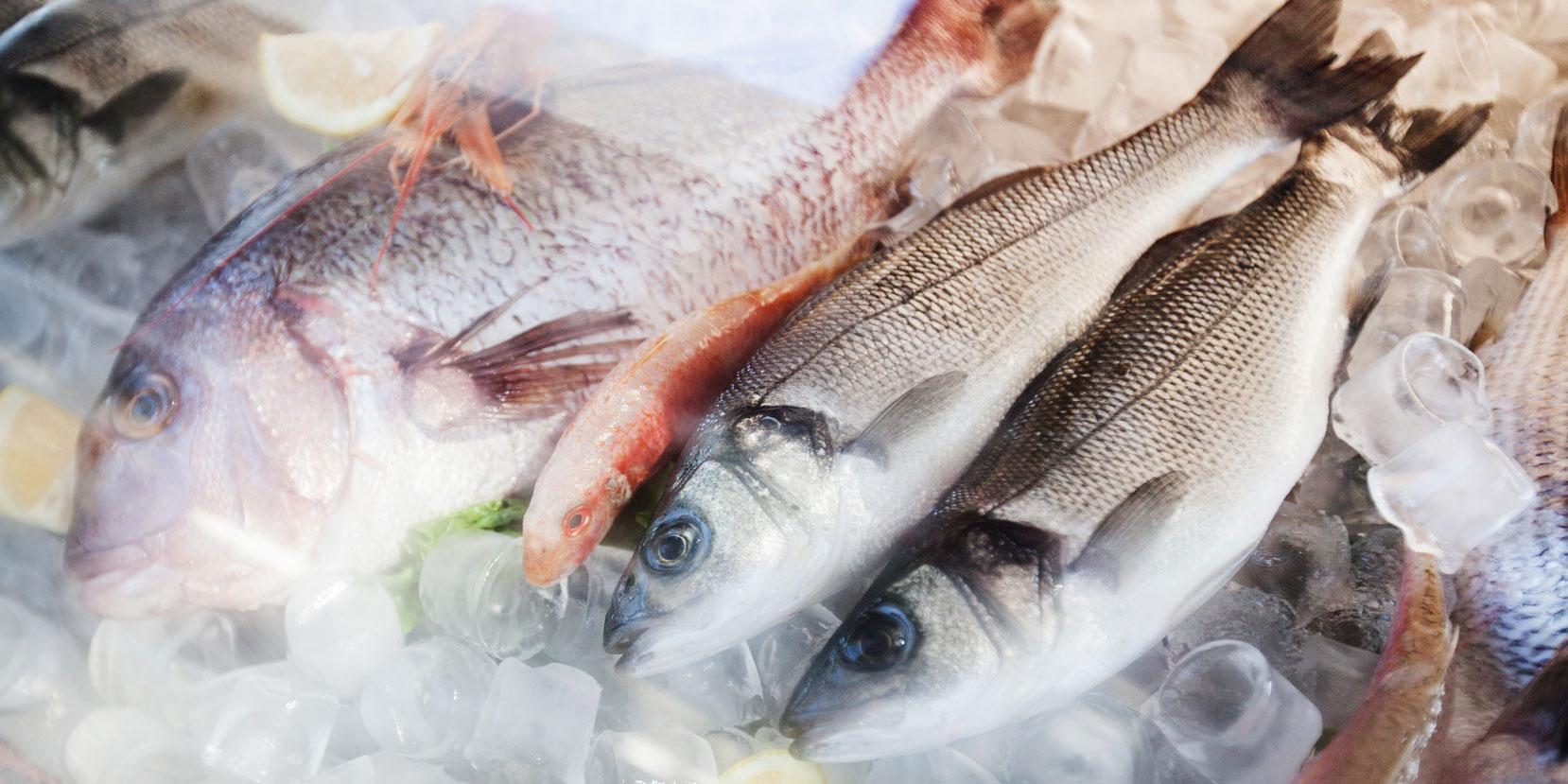 Fulton Fish Market is the largest consortium of seafood wholesalers in the country. photo: Fotolia