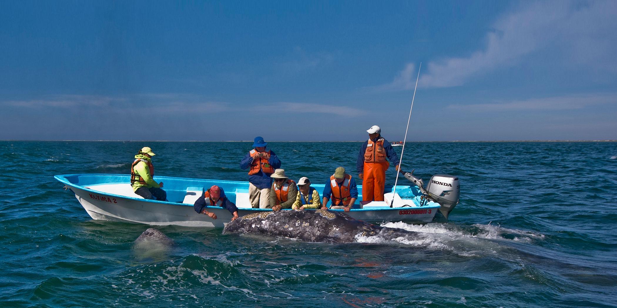 (Photo: Baja Discovery)