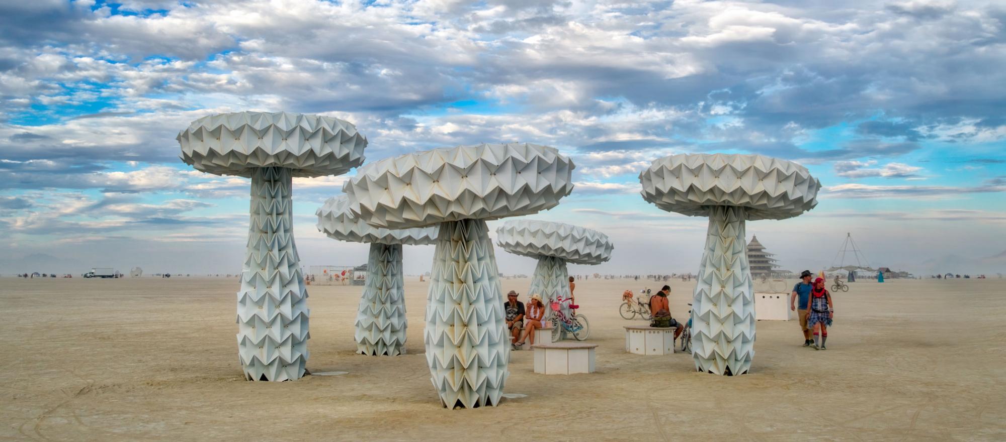 FoldHaus, Shrumen Lumen, at Burning Man.                   