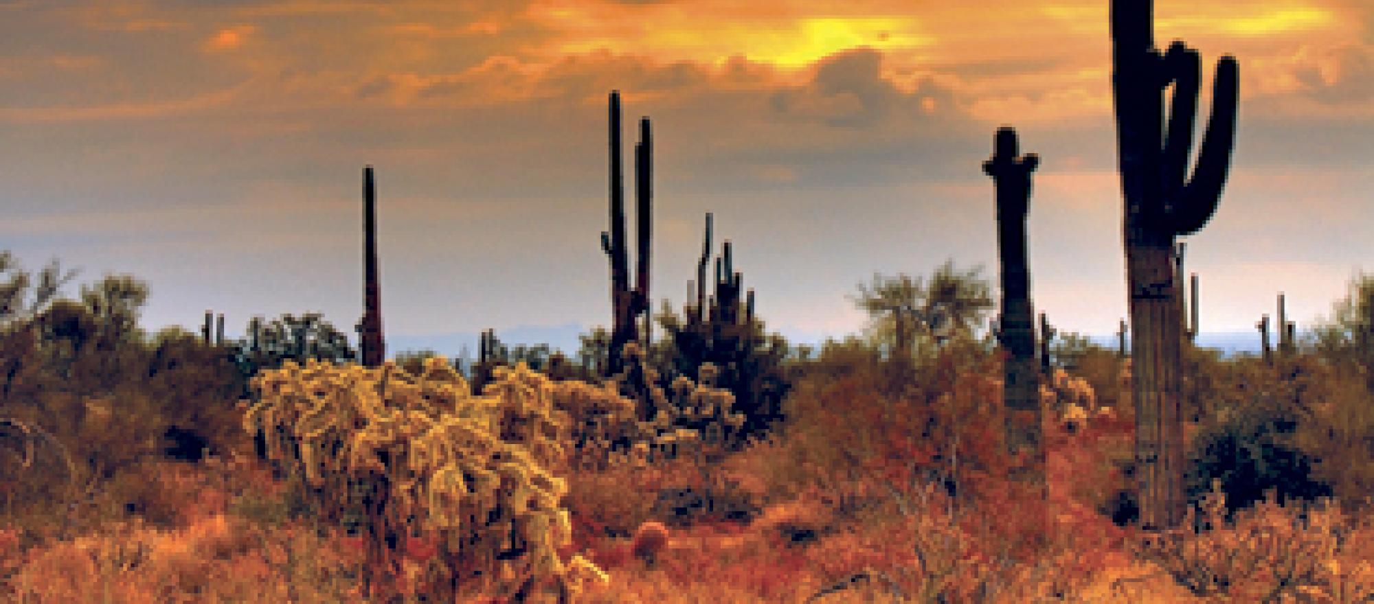 An old west feeling still pervades the city. A cowboy hat is considered sensi