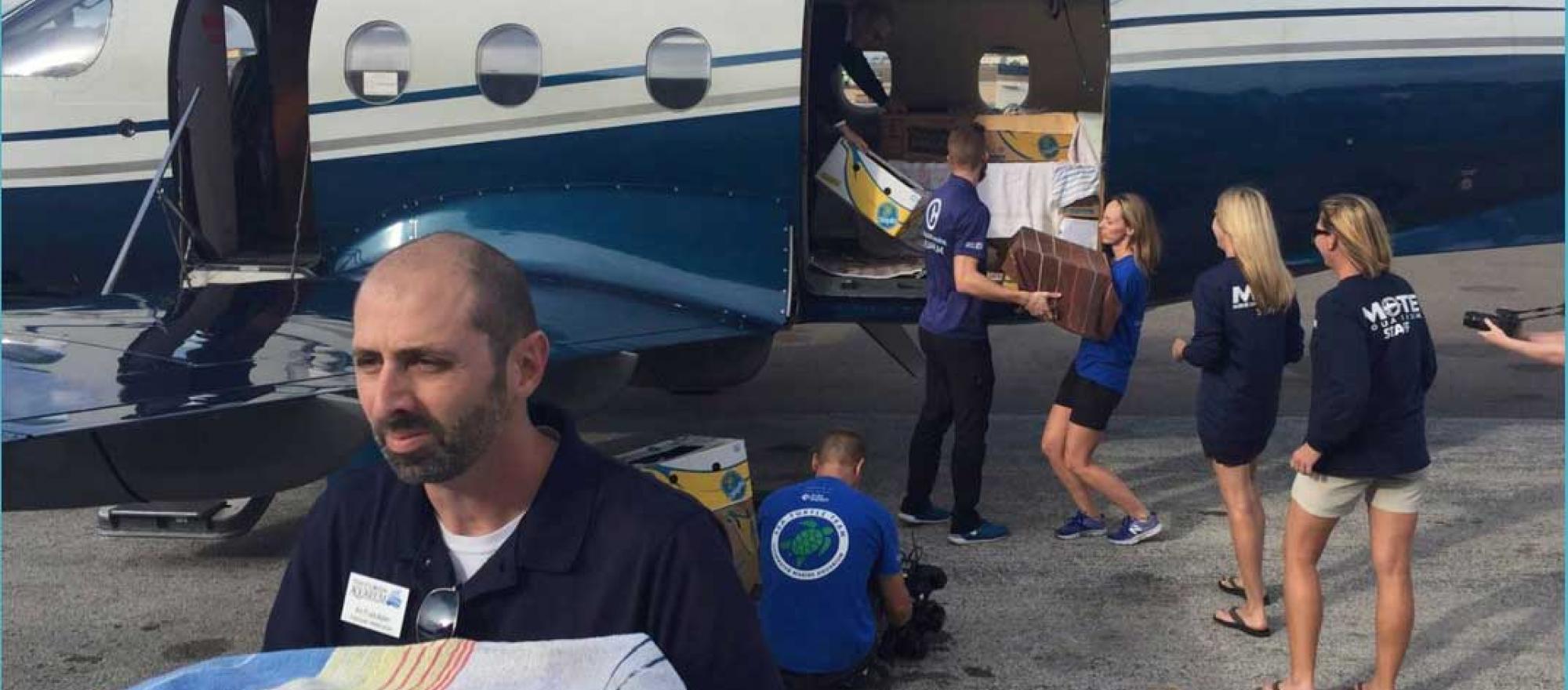 Animal care technicians unloading sea turtles from turboprop