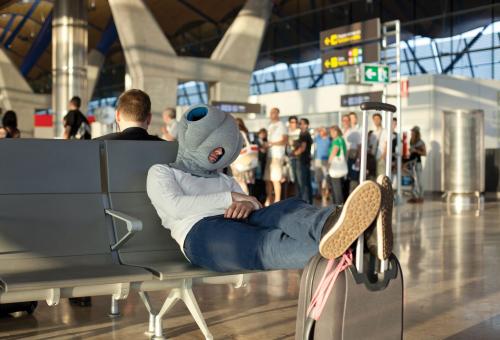 Ostrich Pillow