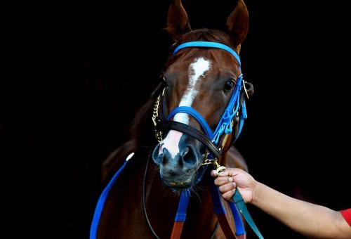 Atlantic Aviation saw 812 landings over the four days bracketing the Kentucky Derby.