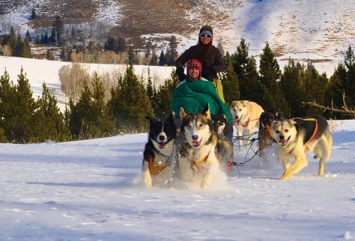 Dogsledding in Yellowstone National Park.