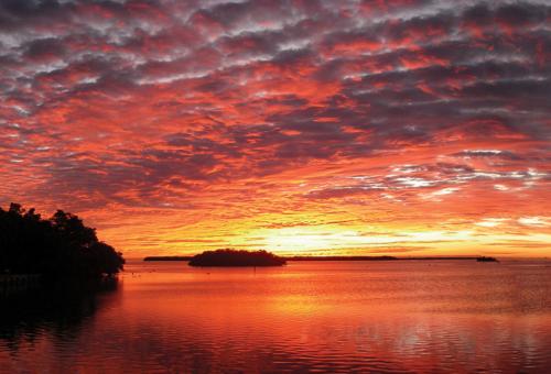 Forty species of mammals live here, including whitetail deer and the rare Florida panther. (Photo: National Park Service)