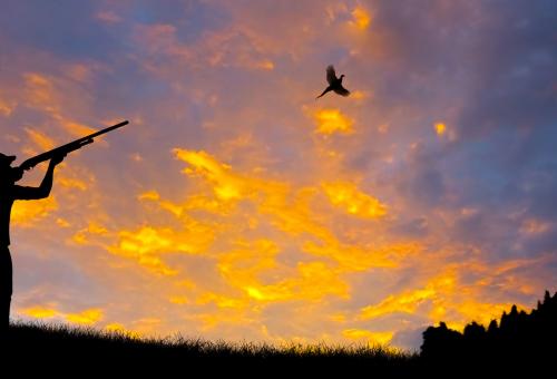 man shooting pheasant