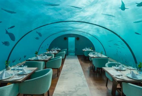Ithaa Undersea Restaurant 