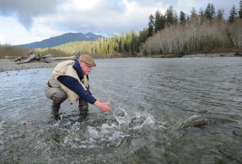 Veteran steelhead fisherman Sean Gallagher releases a native steelhead so it can spawn. (Photo: Gregory Smith Design)