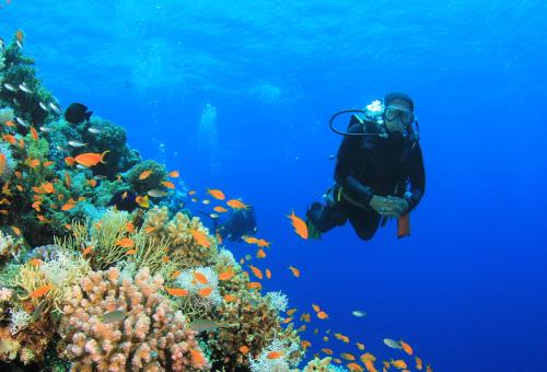 Scuba diving on coral reef