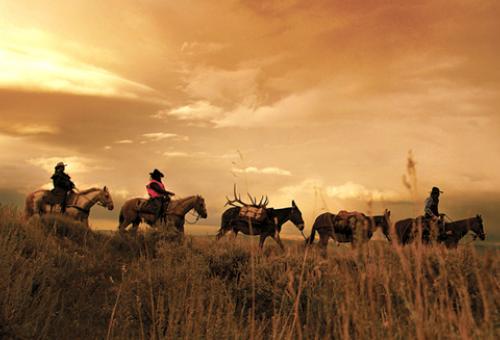 Some Coloradans have spent years equipping themselves and pursuing elk on the