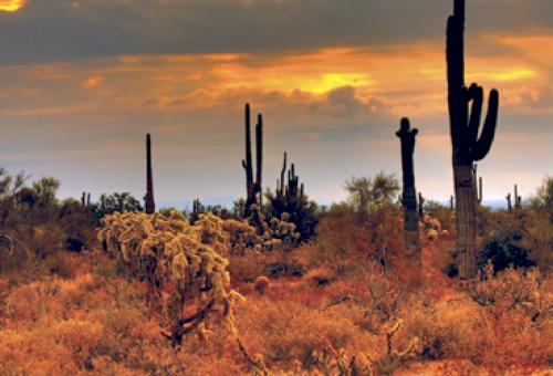 An old west feeling still pervades the city. A cowboy hat is considered sensi