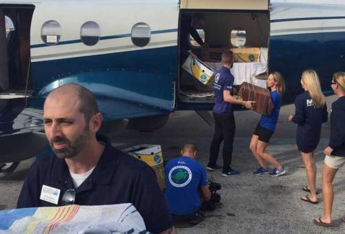 Delivering boxed sea turtles at the airport