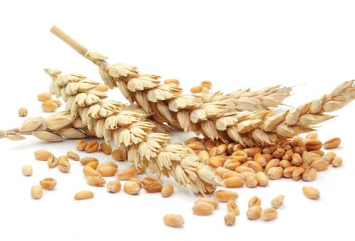 Traveling with food allergies 