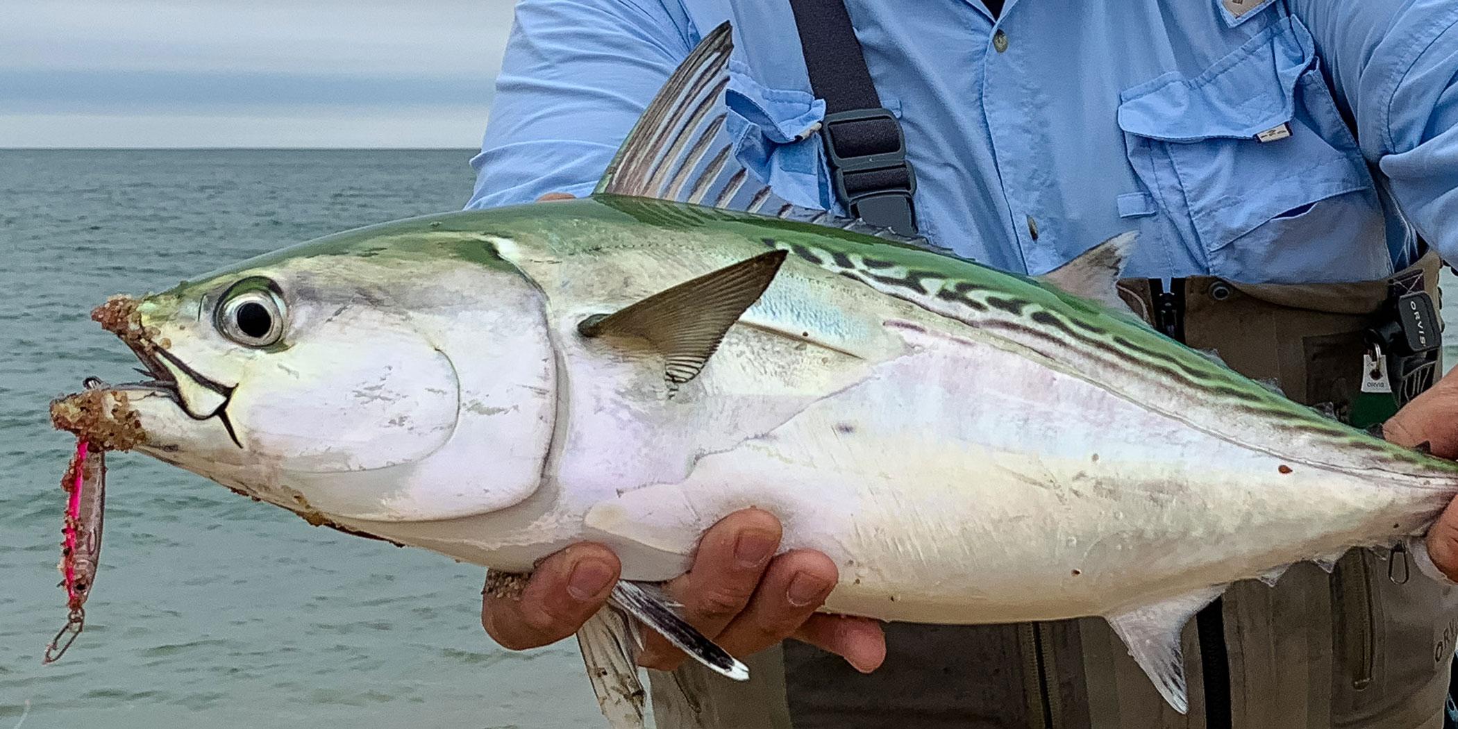 A Fishing Derby on Martha’s Vineyard Business Jet Traveler