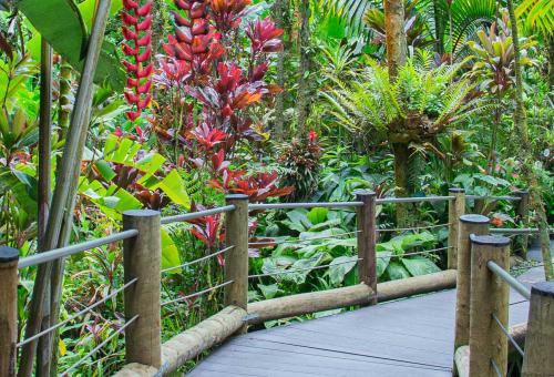 The Hawaii Tropical Bioreserve & Garden Photo:Adobe Stock